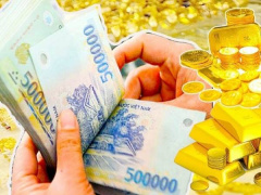 Ảnh bìa bài viết 983566