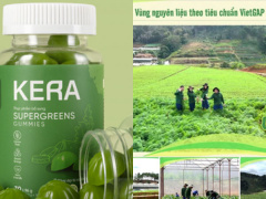 Ảnh bìa bài viết 983940