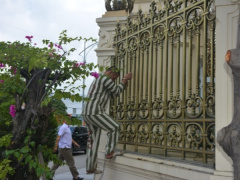 Ảnh bìa bài viết 983947