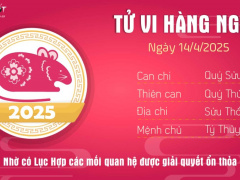 Ảnh bìa bài viết 983850