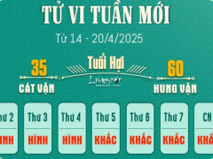 Ảnh bìa bài viết 983888