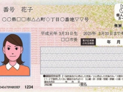 Ảnh bìa bài viết 984450