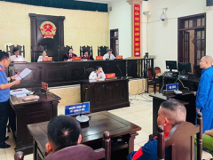 Ảnh bìa bài viết 984479