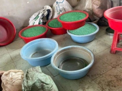 Ảnh bìa bài viết 984495