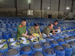 Ảnh bìa bài viết 984689