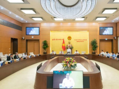 Ảnh bìa bài viết 984777