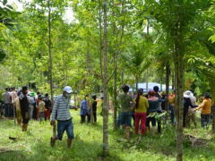 Ảnh bìa bài viết 984861