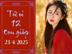 Ảnh bìa bài viết 985161