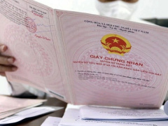 Ảnh bìa bài viết 985005
