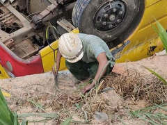 Ảnh bìa bài viết 985111