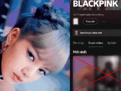 Ảnh bìa bài viết 985429
