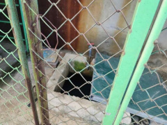 Ảnh bìa bài viết 985715