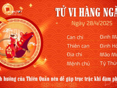 Ảnh bìa bài viết 985842
