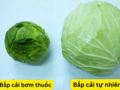 Ảnh bìa bài viết 986006