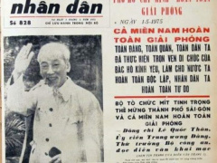 Ảnh bìa bài viết 986289