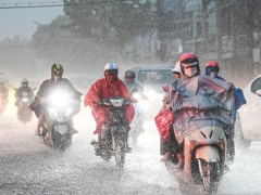 Ảnh bìa bài viết 986639