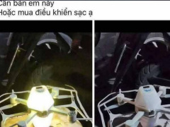 Ảnh bìa bài viết 986546