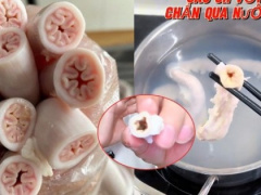 Ảnh bìa bài viết 987326