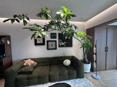 Ảnh bìa bài viết 987461