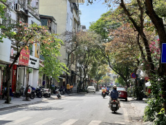 Ảnh bìa bài viết 987395
