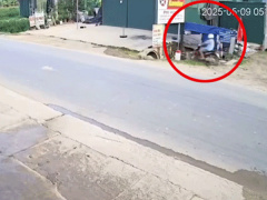 Ảnh bìa bài viết 987475