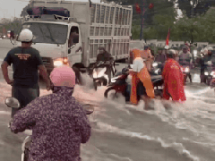 Ảnh bìa bài viết 987566