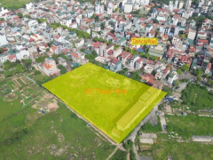 Ảnh bìa bài viết 987605