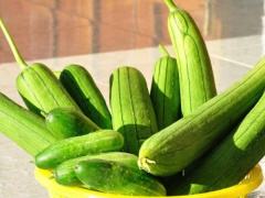 Ảnh bìa bài viết 987716