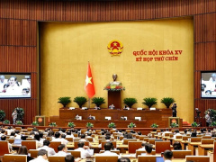 Ảnh bìa bài viết 987802