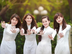 Ảnh bìa bài viết 987844