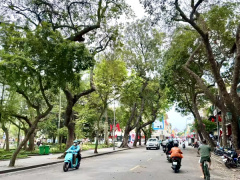 Ảnh bìa bài viết 987898