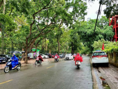 Ảnh bìa bài viết 988009