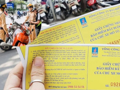 Ảnh bìa bài viết 988163