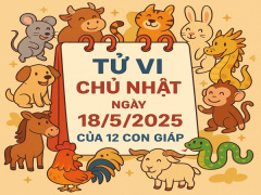 Ảnh bìa bài viết 988313