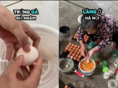 Ảnh bìa bài viết 988380