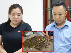 Ảnh bìa bài viết 988727