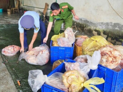Ảnh bìa bài viết 988812