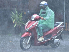 Ảnh bìa bài viết 988896