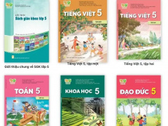 Ảnh bìa bài viết 988883