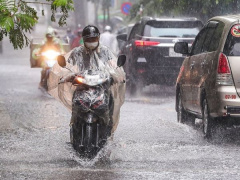 Ảnh bìa bài viết 988936