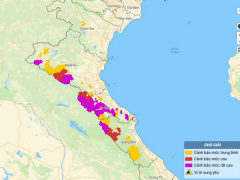 Ảnh bìa bài viết 989035