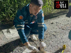 Ảnh bìa bài viết 989607