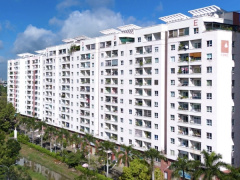 Ảnh bìa bài viết 989661