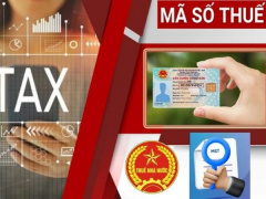 Ảnh bìa bài viết 989887