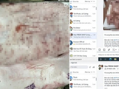 Ảnh bìa bài viết 990047