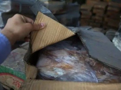 Ảnh bìa bài viết 990139