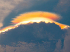 Ảnh bìa bài viết 990392