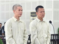 Ảnh bìa bài viết 990437
