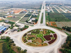 Ảnh bìa bài viết 990454