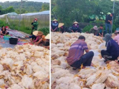 Ảnh bìa bài viết 990499